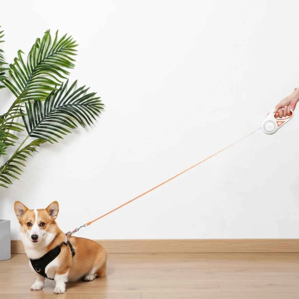 Retractable Automatic Spotlight Pet Dog Leash
