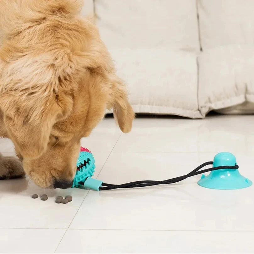 Interactive tug ball toy for dogs with suction base.