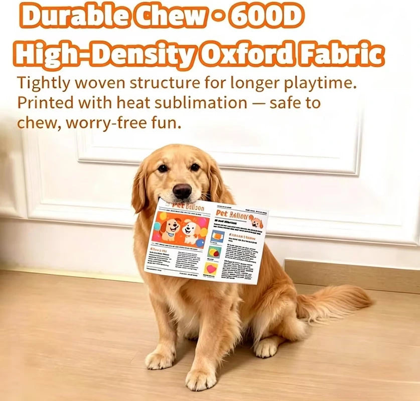 Newspaper Dog Toy - optimized image