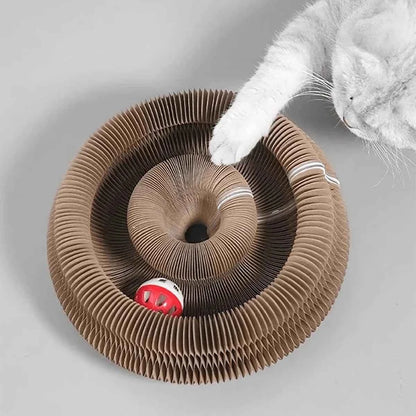 Multi-Level Foldable Cat Scratcher with Bell & Catnip