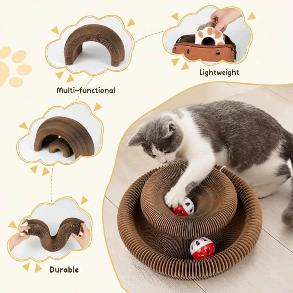Multi-Level Foldable Cat Scratcher with Bell & Catnip