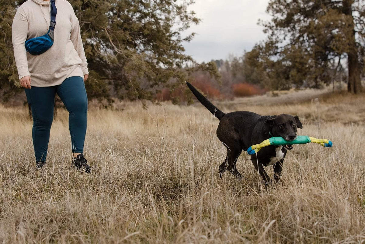 A woman walking with her dog holding a tug toy.