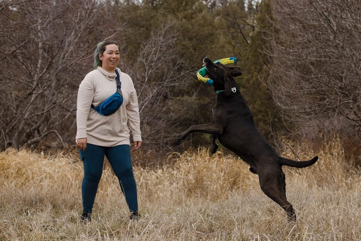 A dog holding a green tug toy while walking in a field.