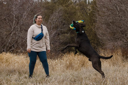 A dog holding a green tug toy while walking in a field.