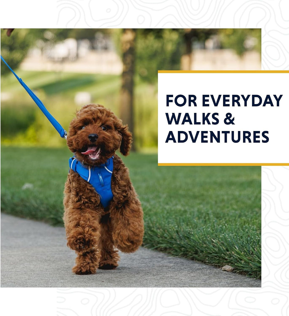 Five-foot long Front Range dog leash for walks.