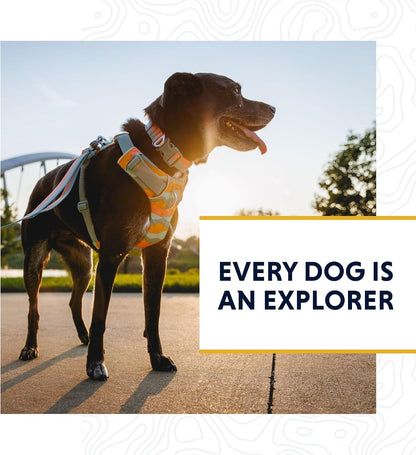 Front Range 5-foot dog leash with secure clip.