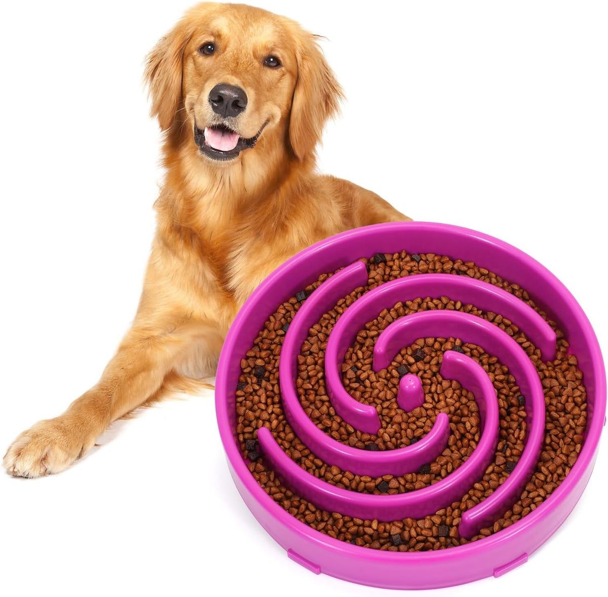 Purple slow feeder bowl beside a happy golden retriever.