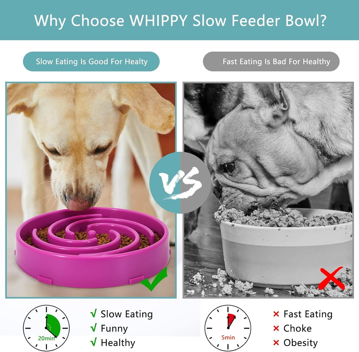 Comparison image of slow and fast feeding dog bowls.