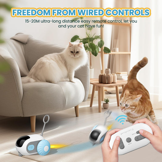 USB Remote Control Interactive Self-moving Car