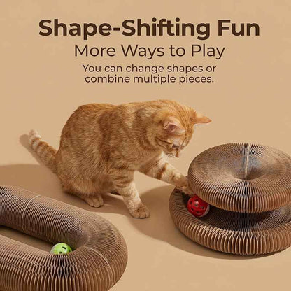 Multi-Level Foldable Cat Scratcher with Bell & Catnip