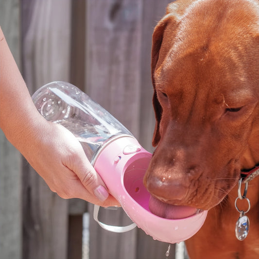 Portable Pet Dog Travel Water Bottle