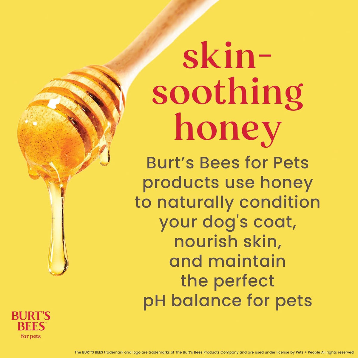 Burts Bees for Pets Waterless Shampoo Spray, with Apple & Honey, 10 Fl Oz