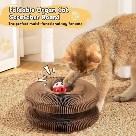 Multi-Level Foldable Cat Scratcher with Bell & Catnip