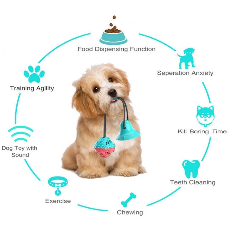 Silicon Suction Interactive Tug Ball Dog Toy